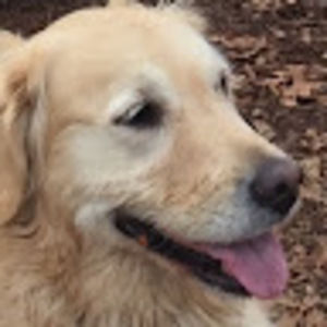 Meet your Posher, Lola